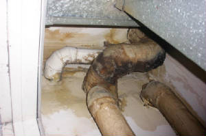 duct-insulation-mold-growth-photo.jpg